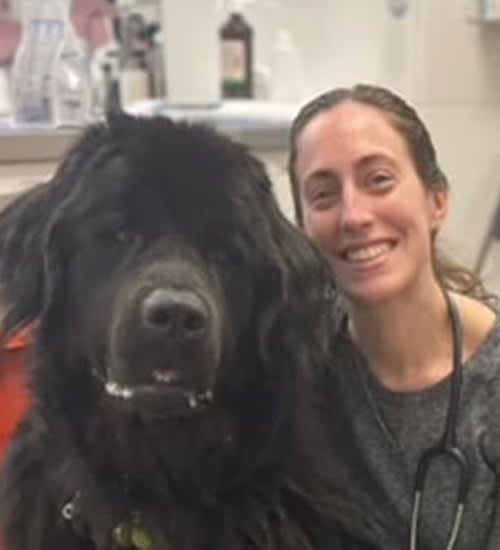 Dr. Victoria Wellington, Rockland County Veterinarian